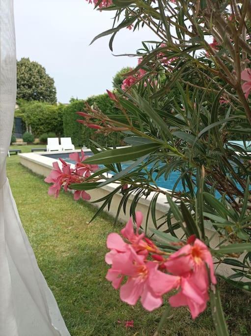 Le Cabanon Tendance Du Luberon * Merindol