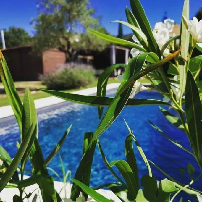 Le Cabanon Tendance Du Luberon * Merindol